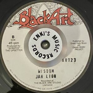 Jah Lion - Wisdom
